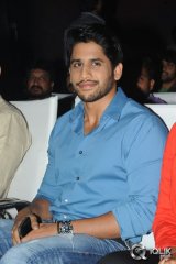 Oka Laila Kosam Movie Audio Success Function